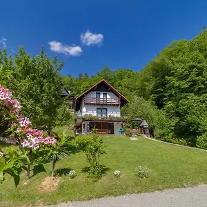 Fethy's House Brvnara